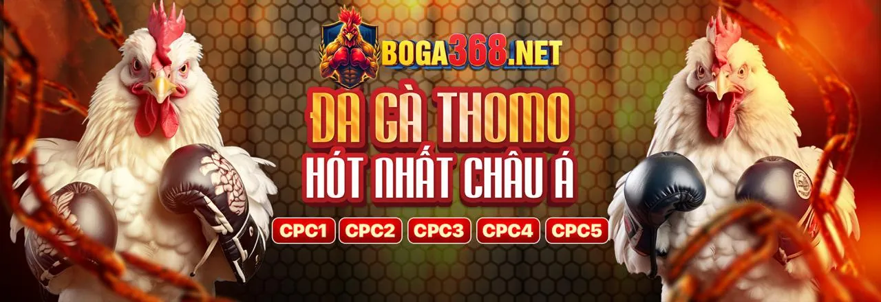 Hỗ trợ và Câu hỏi thường gặp